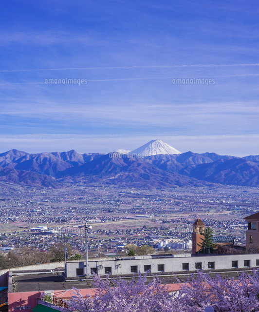 山梨県 風景 桜と甲府盆地 富士山遠望 笛吹川フルーツ公園[10190005283