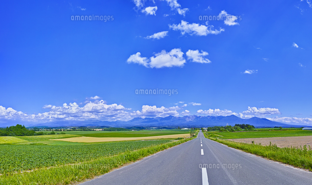 北海道 風景 美瑛町 田園風景と一本道 十勝岳山系遠望 ジェット