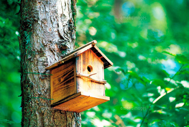 鳥の巣箱[10193000182]の写真・イラスト素材｜アマナイメージズ