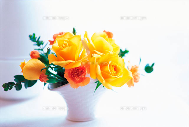 シルビア 花 薔薇 花瓶 バンケット オレンジ背景 額縁 アート シルビア 花 薔薇 花瓶 バンケット オレンジ背景 額縁 アート