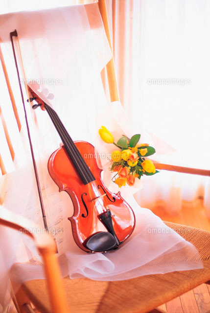 バイオリンと花[10193000384]の写真・イラスト素材｜アマナイメージズ