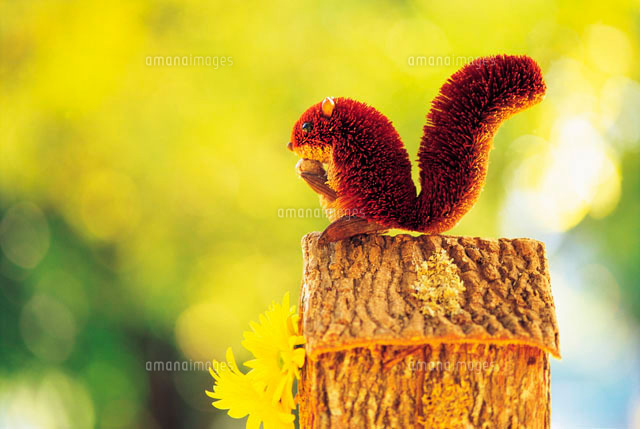 丸太とリスの模型 の写真素材 イラスト素材 アマナイメージズ