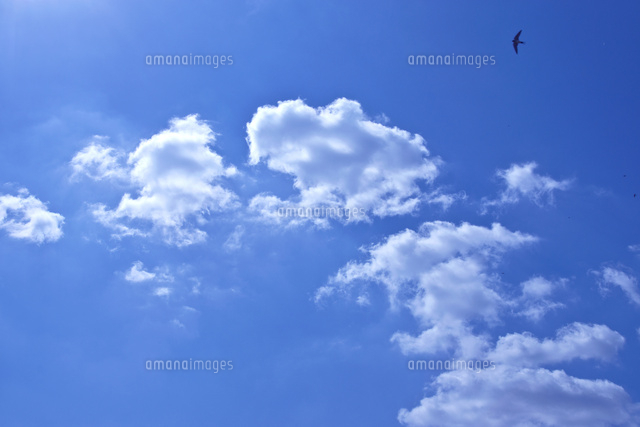 青空と雲 10月 の写真素材 イラスト素材 アマナイメージズ