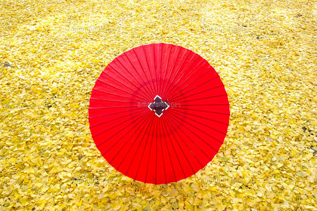 落葉の上の和傘 の写真素材 イラスト素材 アマナイメージズ