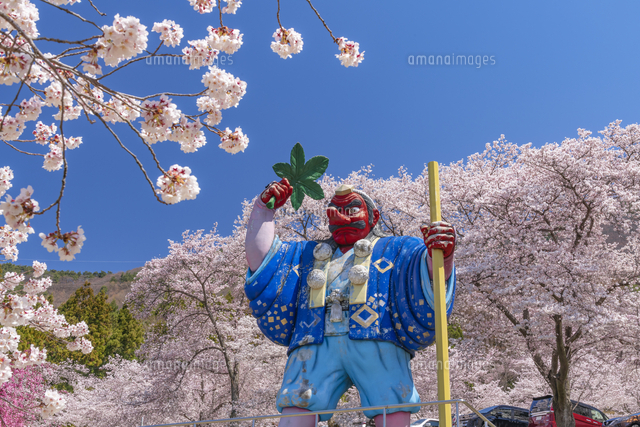 戸倉宿キティパークの桜 の写真素材 イラスト素材 アマナイメージズ