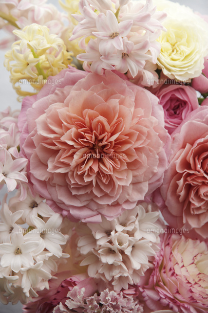 ピンクのバラといろんな種類の花 の写真素材 イラスト素材 アマナイメージズ