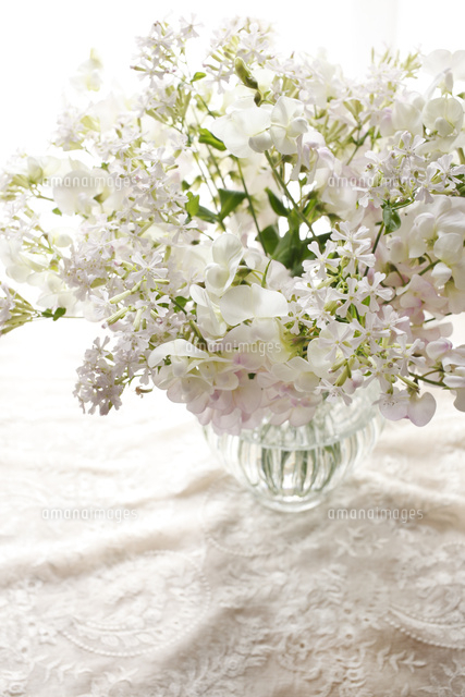 花瓶に活けたスイートピーとシレネの花束とテーブルクロス の写真素材 イラスト素材 アマナイメージズ