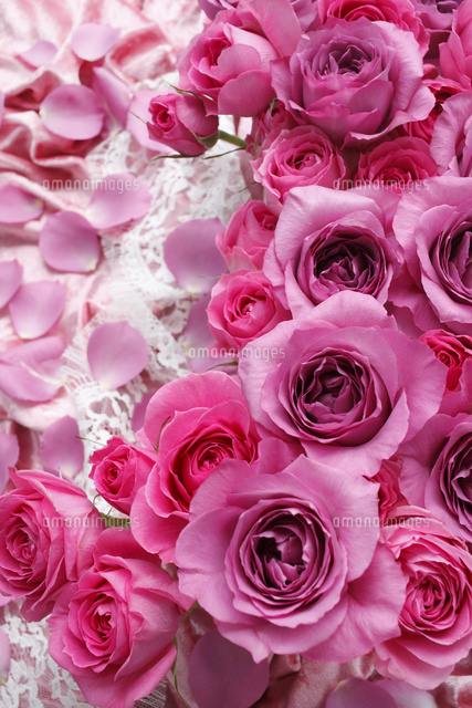 飾る布花　薔薇の花 ピンクの布の上の大輪のバラのアレンジメントと散らばる花びら