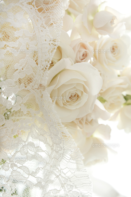白いバラの花とレースのアレンジメント の写真素材 イラスト素材 アマナイメージズ