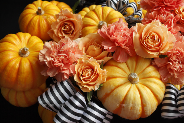 オレンジ色のカボチャとオレンジ色の花のアレンジメント の写真素材 イラスト素材 アマナイメージズ