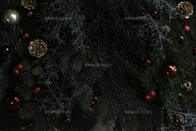 クリスマスオーナメントとモミの木とコニファー の写真素材 イラスト素材 アマナイメージズ