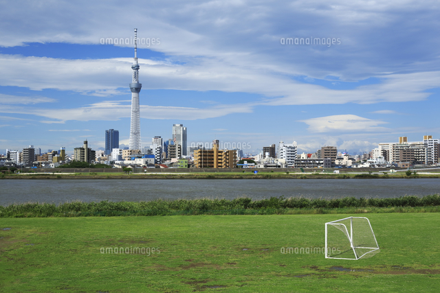台風一過のスカイツリーと荒川河川敷 の写真素材 イラスト素材 アマナイメージズ