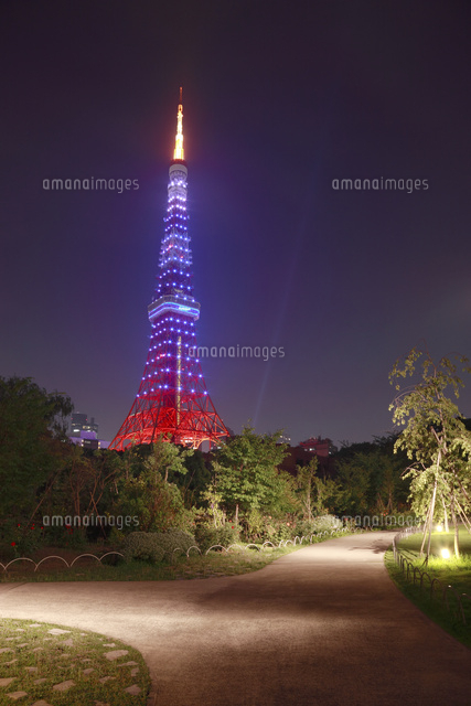 芝公園から東京タワーのライトアップ 夜景 の写真素材 イラスト素材 アマナイメージズ