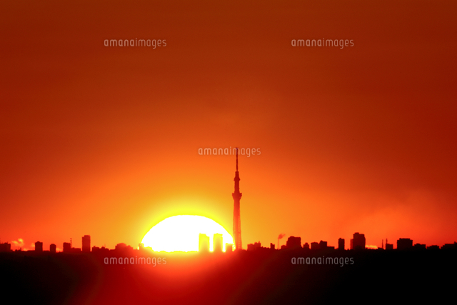 スカイツリーの後ろに昇る朝日 の写真素材 イラスト素材 アマナイメージズ