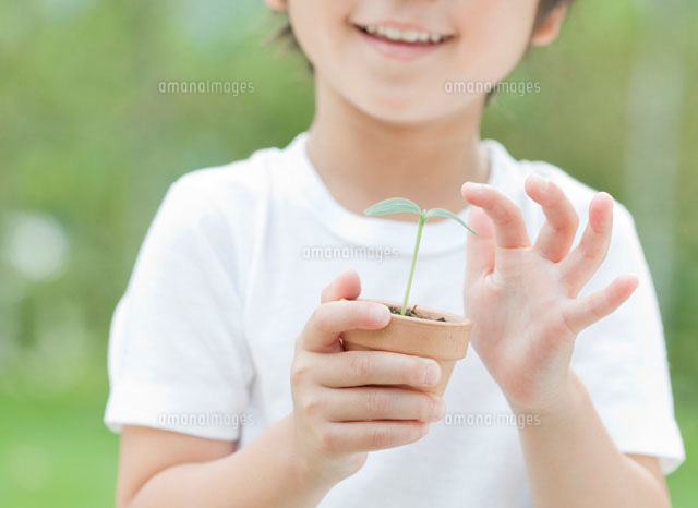 双葉を持つ子供の手 の写真素材 イラスト素材 アマナイメージズ