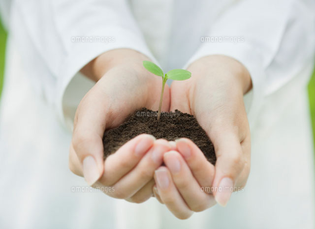 双葉を持つ女性の手 の写真素材 イラスト素材 アマナイメージズ