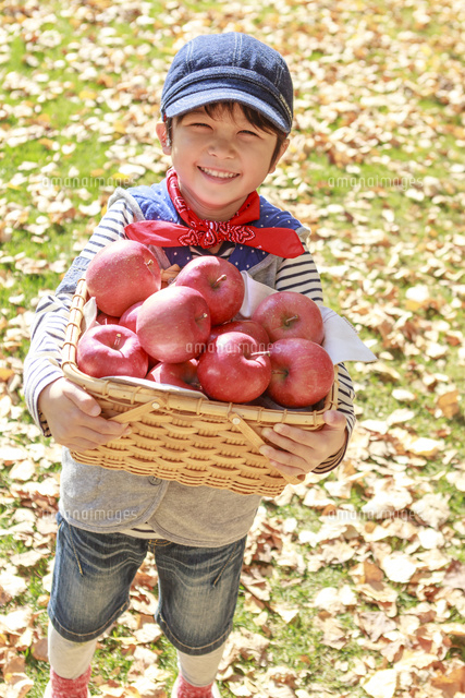 紅葉の中 リンゴを持つ6歳の男の子 の写真素材 イラスト素材 アマナイメージズ