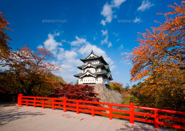 紅葉するモミジと桜の木と弘前城 の写真素材 イラスト素材 アマナイメージズ