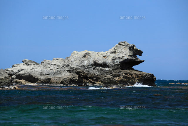 千畳敷海岸 ライオン岩 の写真素材 イラスト素材 アマナイメージズ 千畳敷海岸 ライオン岩 の写真素材 イラスト素材 アマナイメージズ