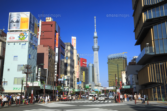 スカイツリーと雷門通り の写真素材 イラスト素材 アマナイメージズ