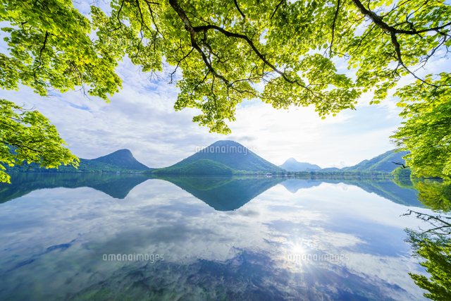 新緑の木と榛名湖と榛名山（榛名富士）[10211007806]の写真・イラスト
