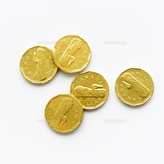 正面から見た金貨のレプリカ の写真素材 イラスト素材 アマナイメージズ