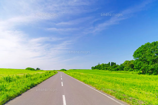 Meadow 　牧草地の道 Road Meadow Road 【公式通販】 牧草地の道 絵画