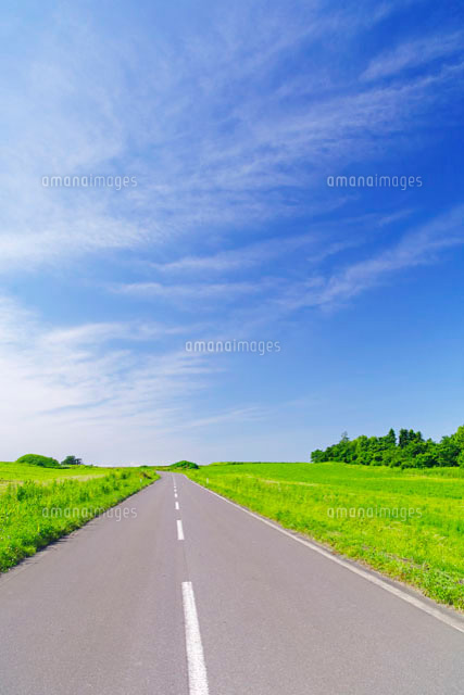 Meadow Road 　牧草地の道 牧草地の丘の一本の道[10217000148]の写真・イラスト素材｜アマナ