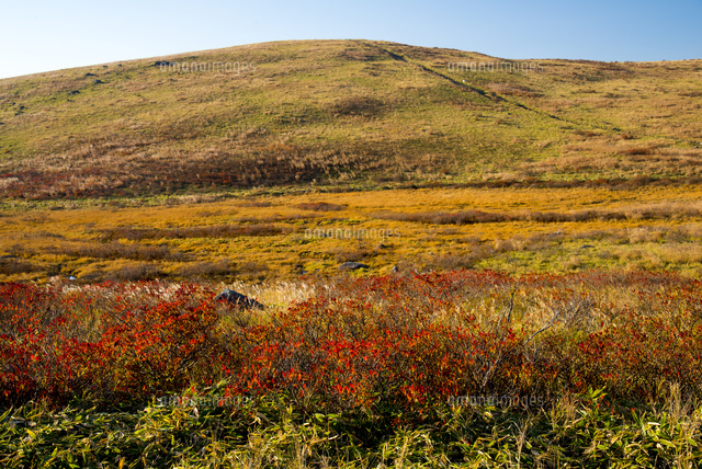草紅葉の車山湿原と蝶々深山 の写真素材 イラスト素材 アマナイメージズ