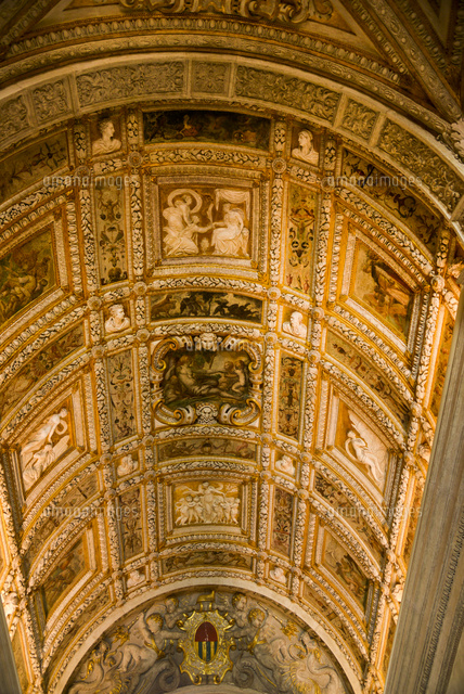 ドゥカーレ宮殿内部黄金の階段の天井 の写真素材 イラスト素材 アマナイメージズ