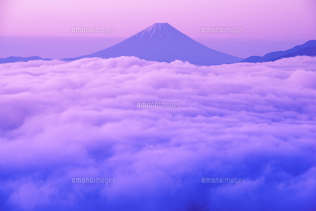 高ボッチ高原より朝焼けに染まる雲海と雲上の富士山[10222009491]の