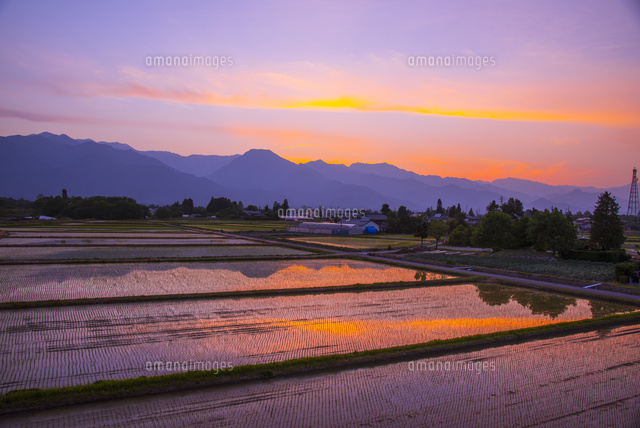 風景画 公園の夕焼け 画家志望作 風景画 公園の夕焼け 画家志望作 - メルカリ