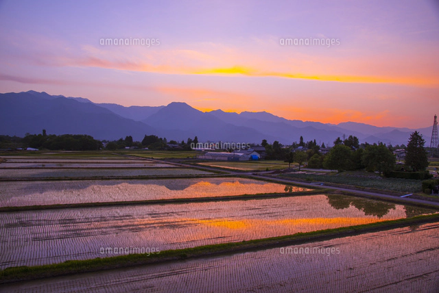 風景画 公園の夕焼け 画家志望作 風景画 公園の夕焼け 画家志望作 風景画 公園の夕焼け 画家志望作 -