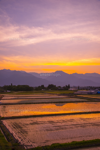夕焼けに輝く安曇野田園風景[10222009839]の写真・イラスト素材