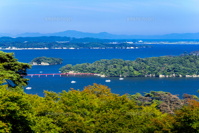 日本三景松島・西行戻しの松公園より福浦島・・松島湾を望む