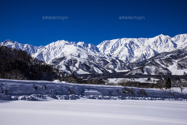白馬村北城より北アルプス白馬三山[10222011827]の写真・イラスト素材