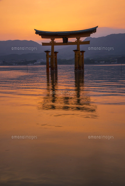 夕焼けと厳島神社大鳥居[10222016485]の写真・イラスト素材｜アマナ
