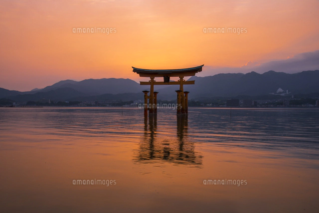 夕焼けと厳島神社大鳥居[10222016485]の写真・イラスト素材｜アマナ