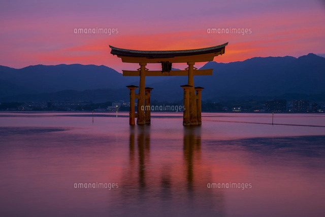 夕焼けと厳島神社大鳥居[10222016498]の写真・イラスト素材｜アマナ