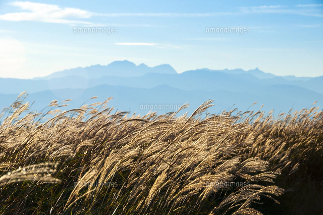 安曇野風景 ススキの候 安曇野風景 ススキの候