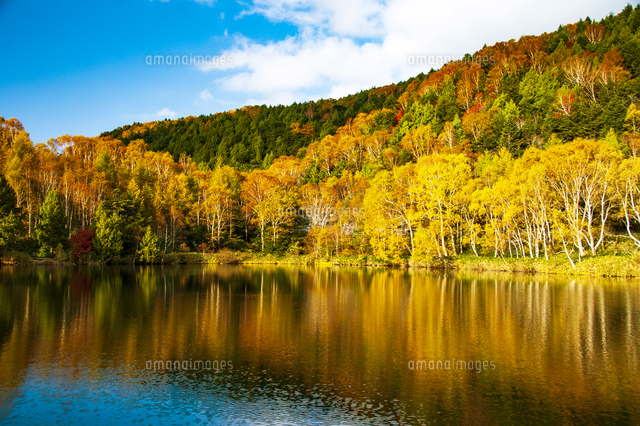 志賀高原紅葉の木戸池 の写真素材 イラスト素材 アマナイメージズ 志賀高原紅葉の木戸池 の写真素材 イラスト素材 アマナイメージズ