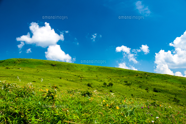 霧ヶ峰高原 草原と夏空 の写真素材 イラスト素材 アマナイメージズ