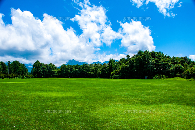 八ヶ岳農場芝生広場と夏空 の写真素材 イラスト素材 アマナイメージズ