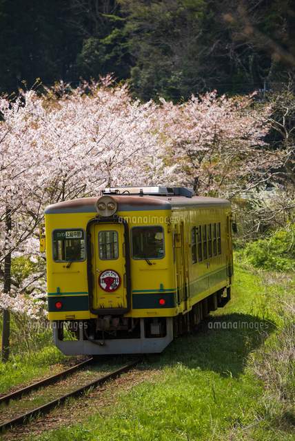 いすみ鉄道の春 写真素材 [ 3045433 ] - フォトライブラリー