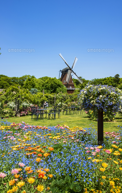 花咲き誇る春のアンデルセン公園 の写真素材 イラスト素材 アマナイメージズ