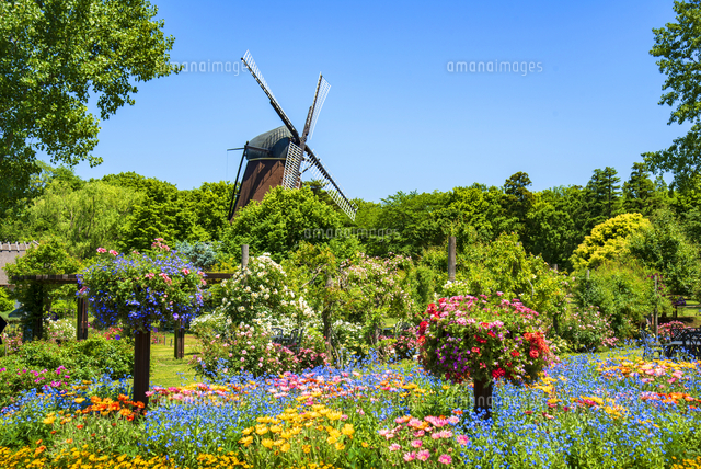 アンデルセン公園 春の花咲き誇る庭園と風車[10222027626]の写真