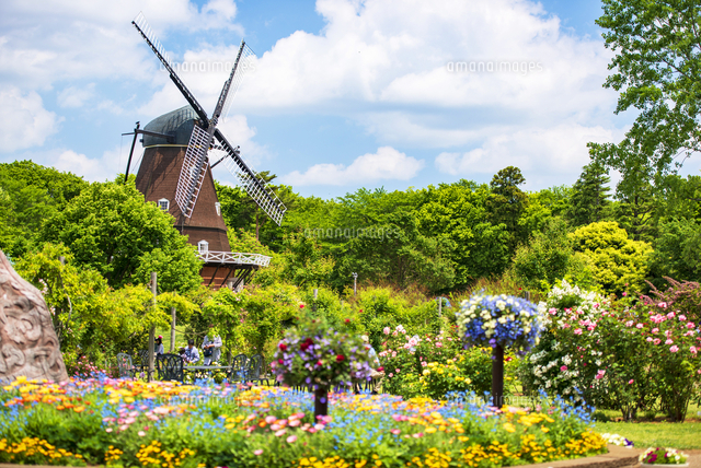 風景画 花と風景 62426898-landscape-of-