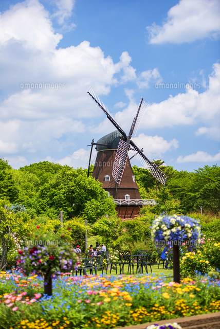 アンデルセン公園 春の花咲き誇る庭園と風車 の写真素材 イラスト素材 アマナイメージズ