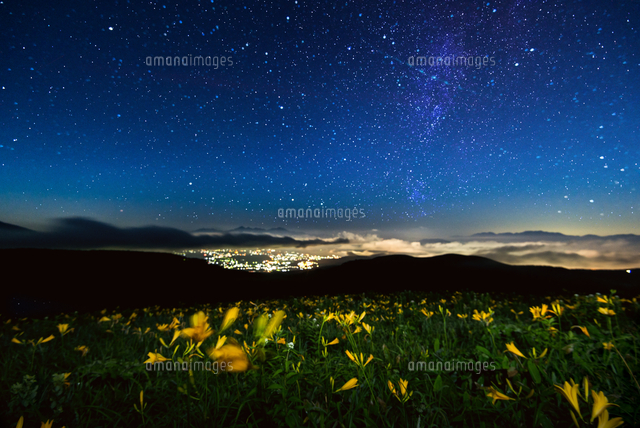 ぷうあさま専用 （原画）夜空に咲く花 ほか　5点おまとめ ニッコウキスゲ咲く霧ヶ峰高原よりアルプスと天の川の星空[10222027784