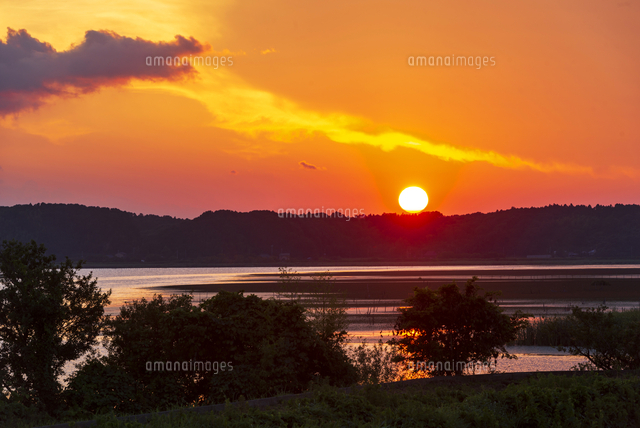 双子公園より夕焼けに染まる印旛沼と夕日[10222030331]の写真